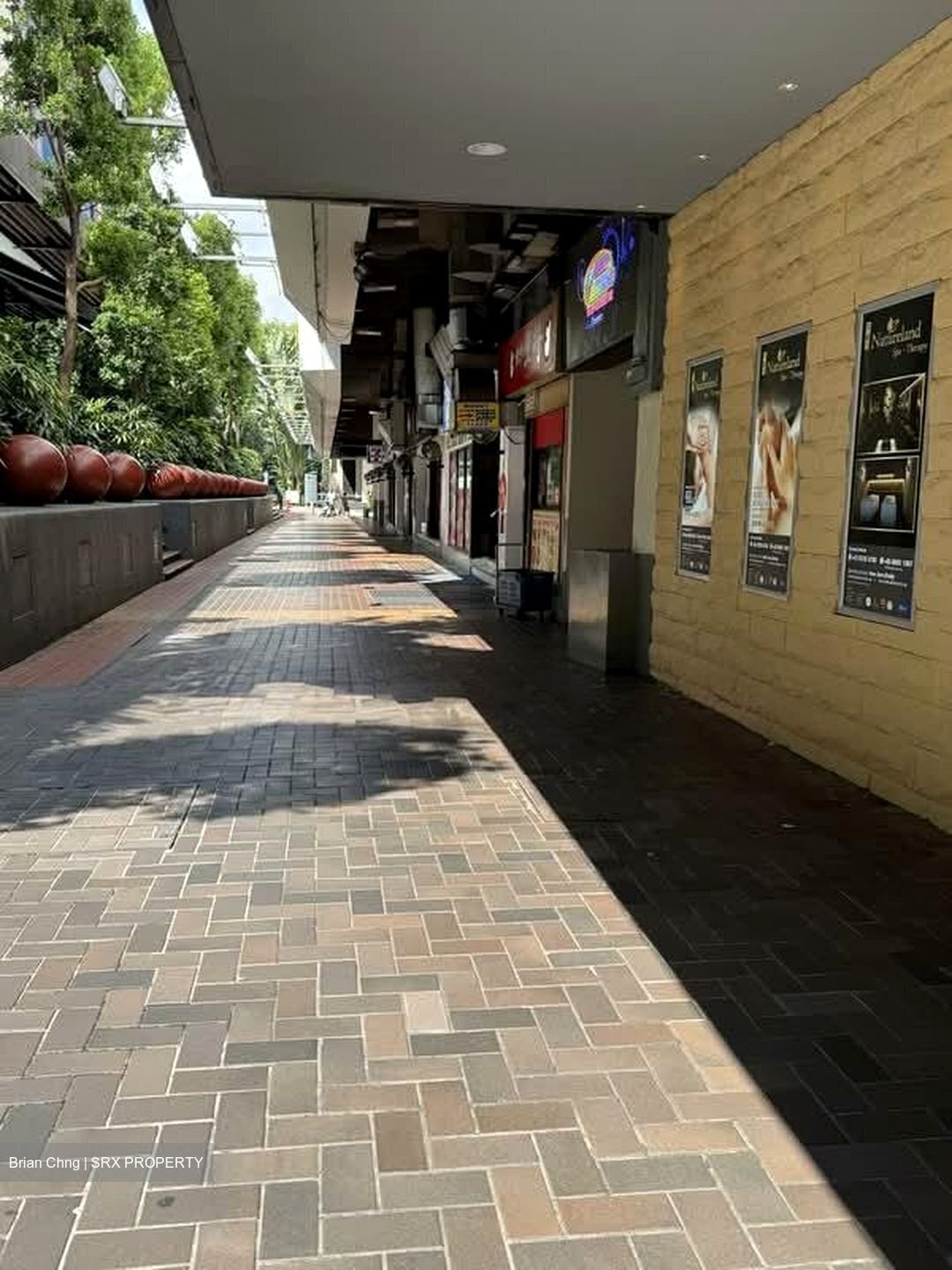 Cuppage Terrace (D9), Retail #530548661